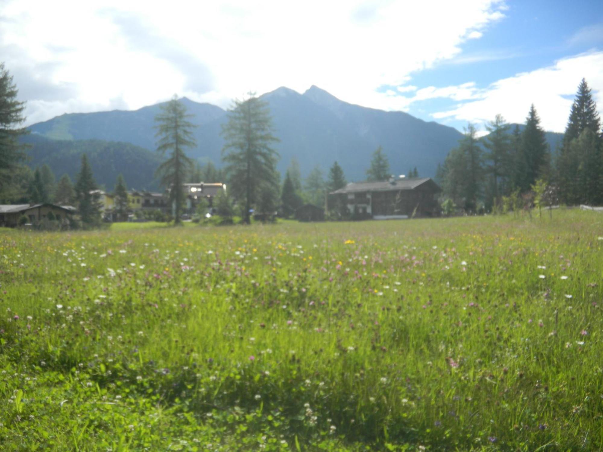 Landhaus Charlotte Am Geigenbuehel -Apartments Seefeld in Tirol Eksteriør billede
