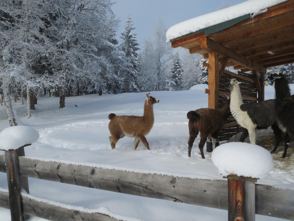Landhaus Charlotte Am Geigenbuehel -Apartments Seefeld in Tirol Eksteriør billede